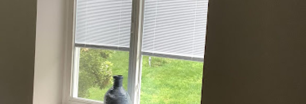 The Window People