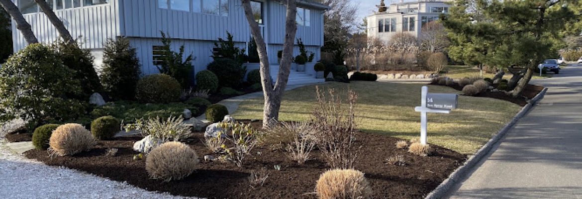 Angel Landscaping and masonry LLC