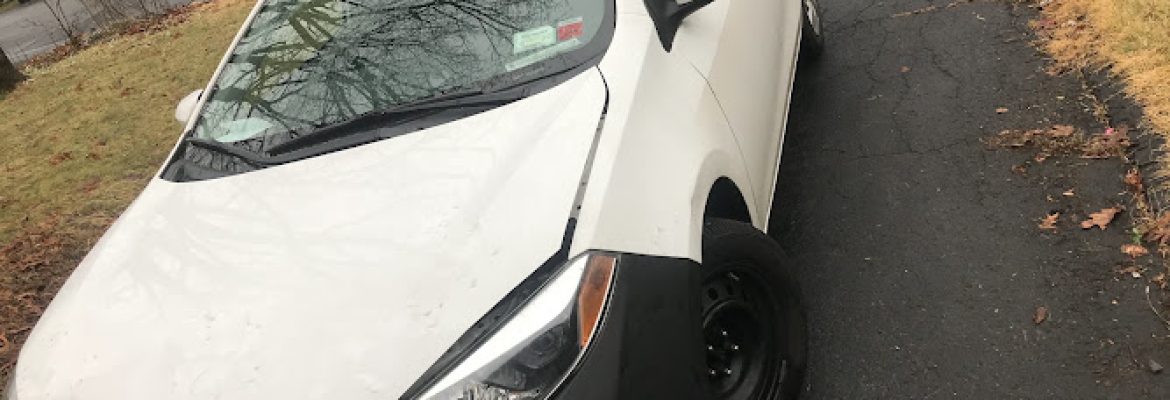 Bear Auto Performance