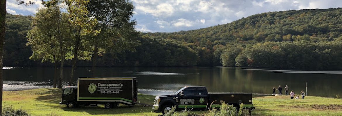 Damasceno’s Landscapes and Construction, LLC