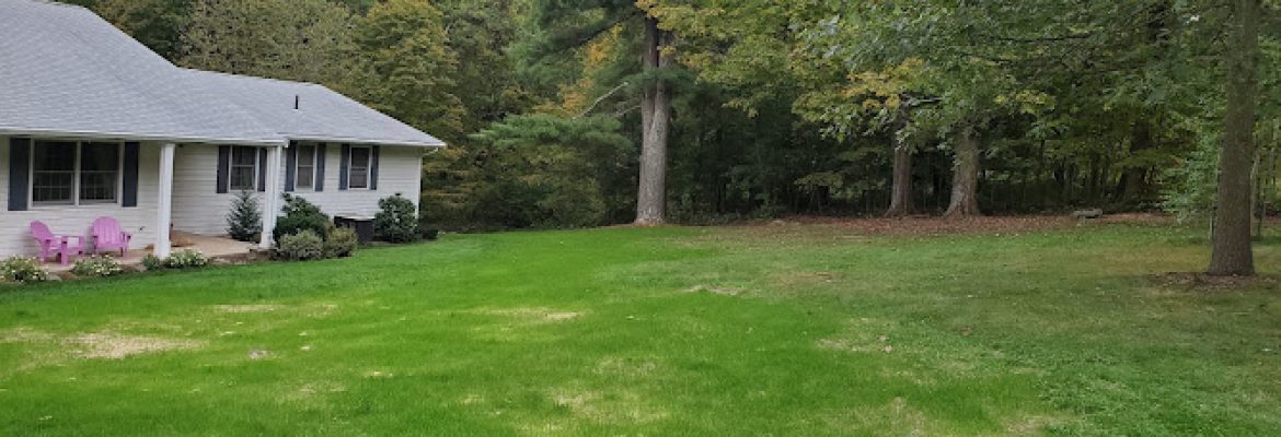 Viper Landscaping
