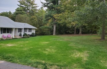 Viper Landscaping