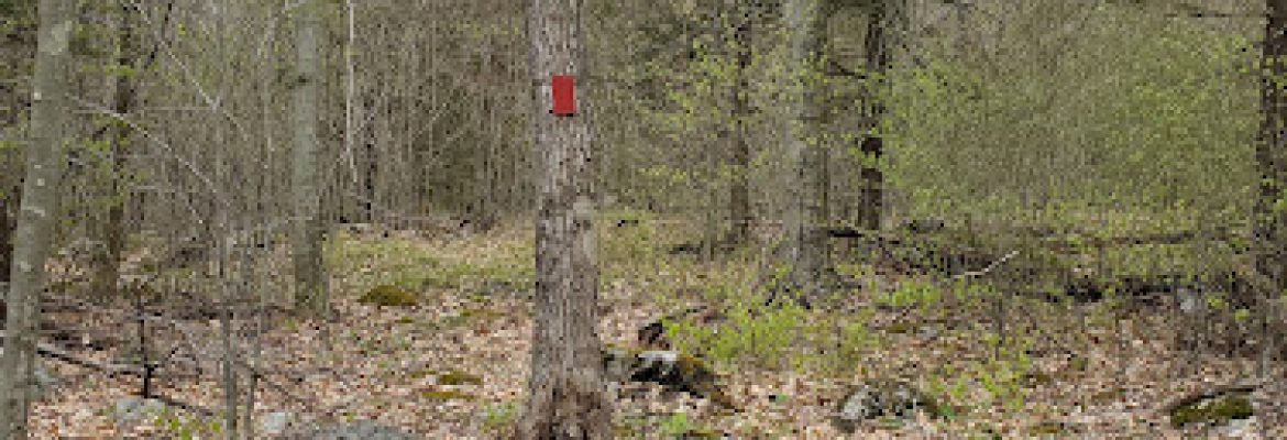 Beach Preserve