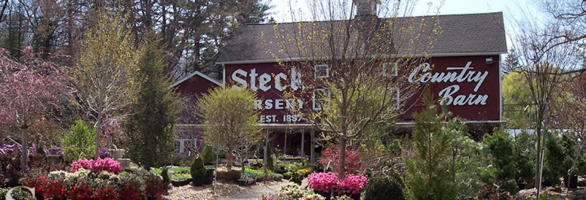 Stecks Nursery and Landscaping
