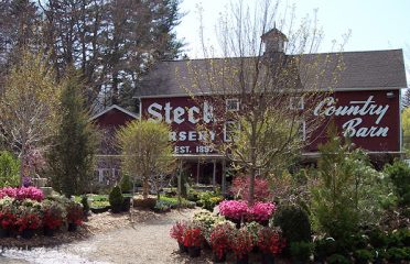 Stecks Nursery and Landscaping
