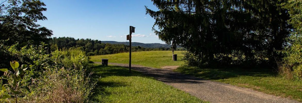 Tarrywile Park