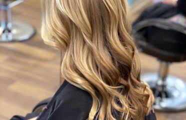 Shear Transitions