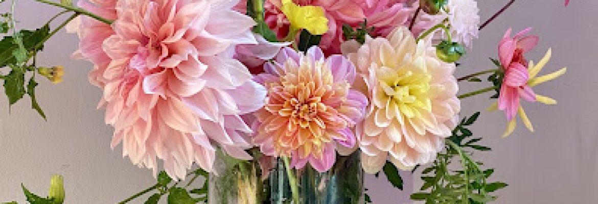 Redding Flower Farm