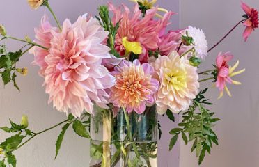 Redding Flower Farm