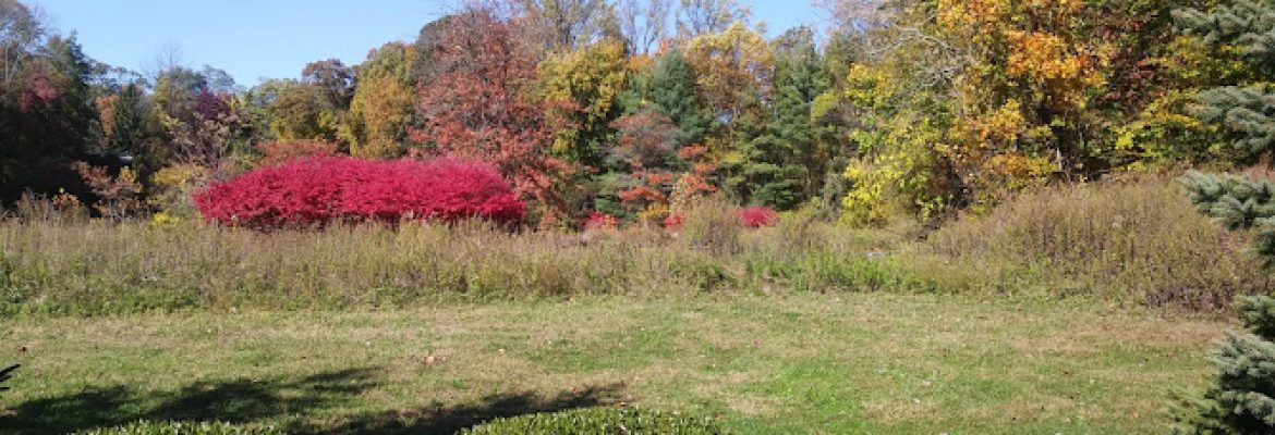 Saugatuck Tree Nursery
