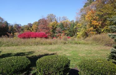 Saugatuck Tree Nursery