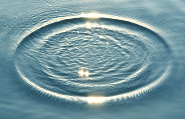 Lotus Behavioral Health