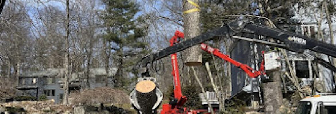 Christian Tree Service LLC