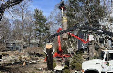 Christian Tree Service LLC