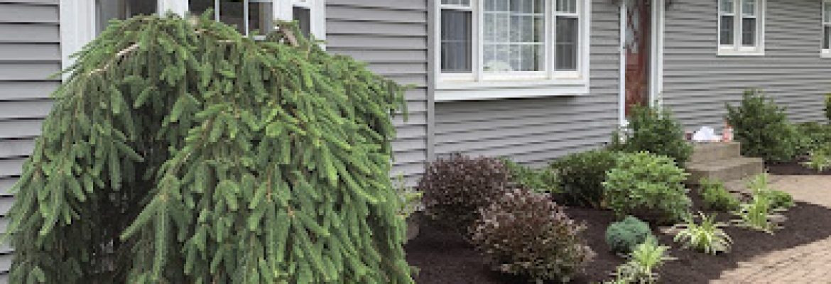 Blossom View Landscaping
