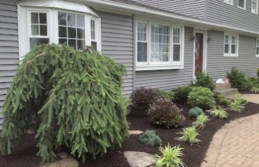 Blossom View Landscaping