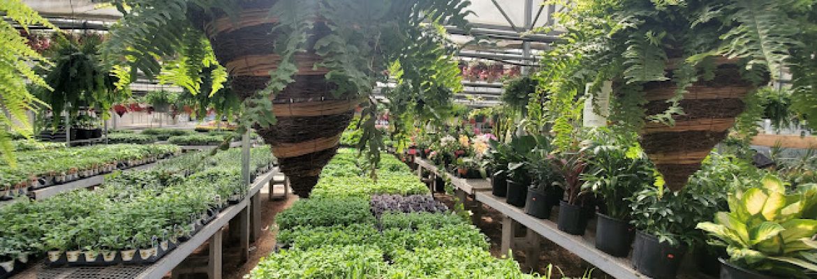 Dom’s Garden Center