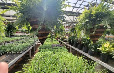 Dom’s Garden Center
