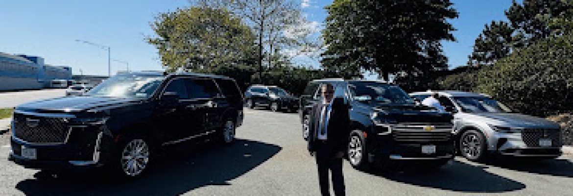 Darian Luxury Limousine