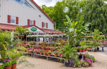 Van Wilgen’s Garden Center