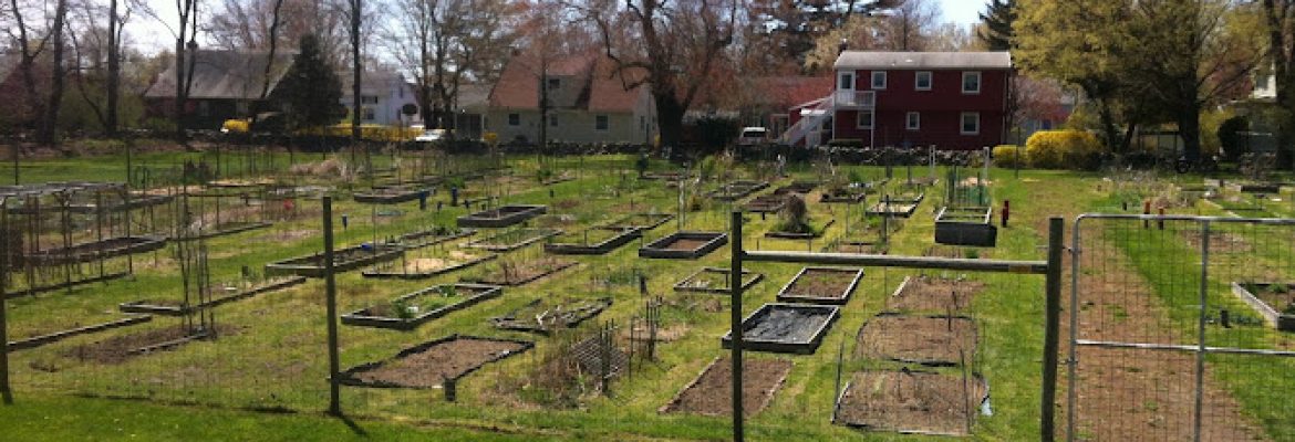 Fodor Farm
