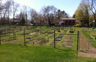 Fodor Farm