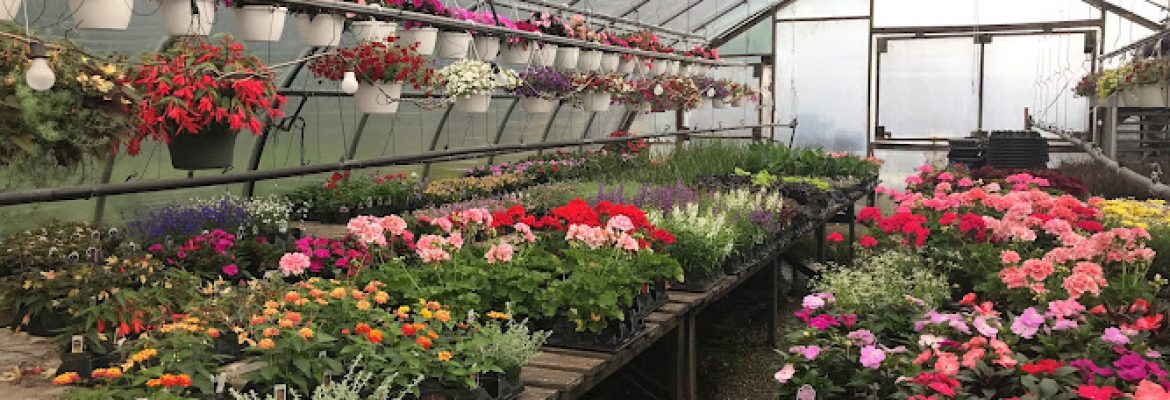 Kristen’s Country Greenhouses