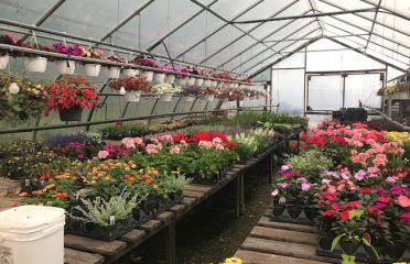 Kristen’s Country Greenhouses