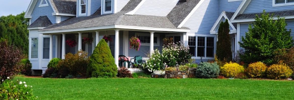 Roots Landscaping