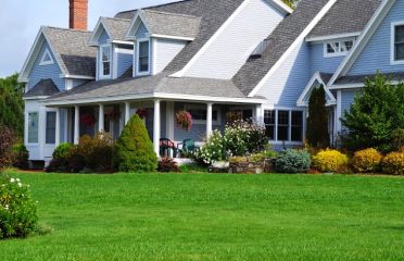 Roots Landscaping