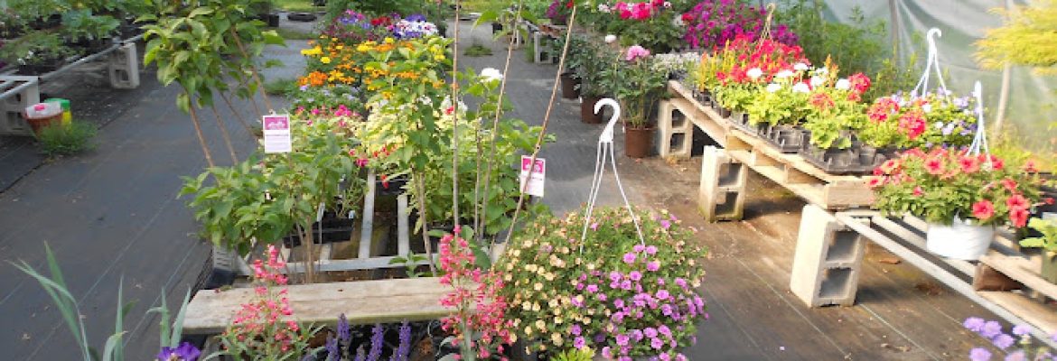 Ashford Garden Center