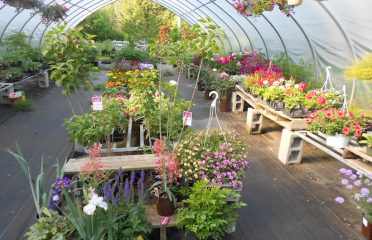 Ashford Garden Center
