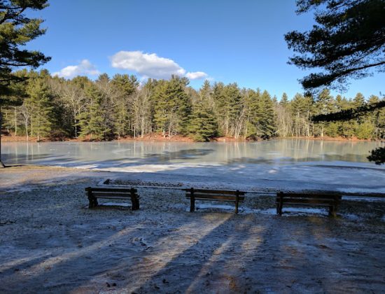 Quaddick State Forest