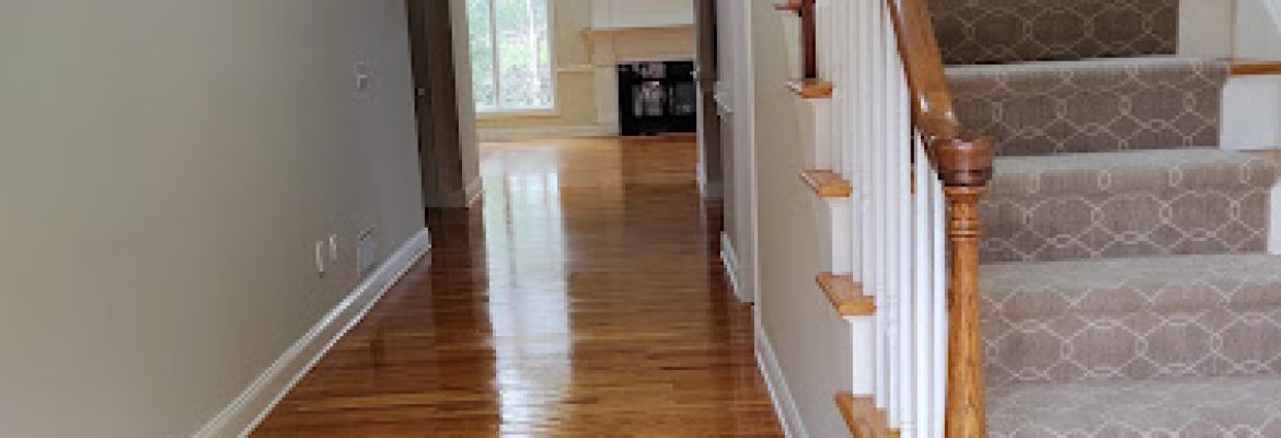 Cleaning Service
