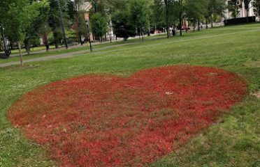 New Haven Green