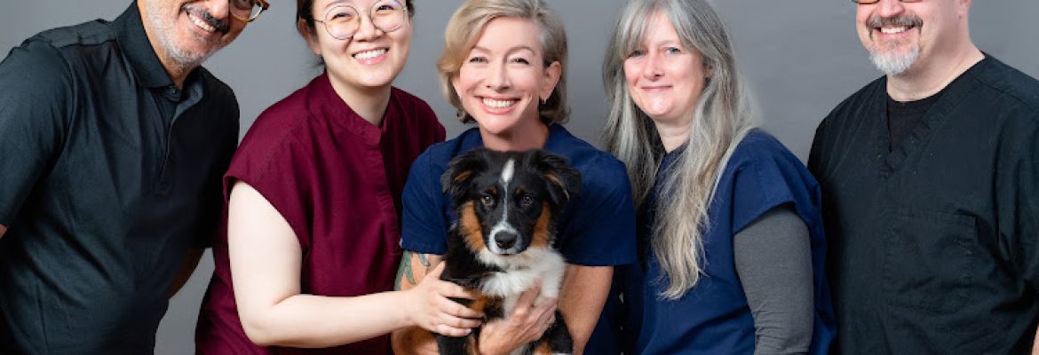 Acorn Acupuncture (West Hartford Acupuncture)