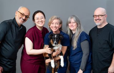 Acorn Acupuncture (West Hartford Acupuncture)