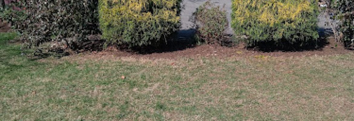 Outdoor Property Services LLC