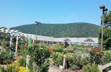 Prides Corner Farms