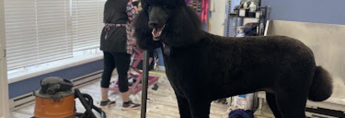A Muddy Paw Pet Salon LLC
