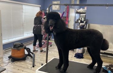 A Muddy Paw Pet Salon LLC