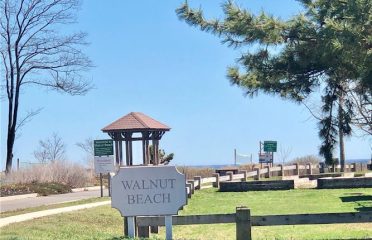 Walnut Beach, Milford