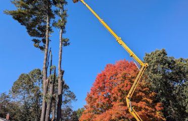 G’s Friendly Tree Service, LLC