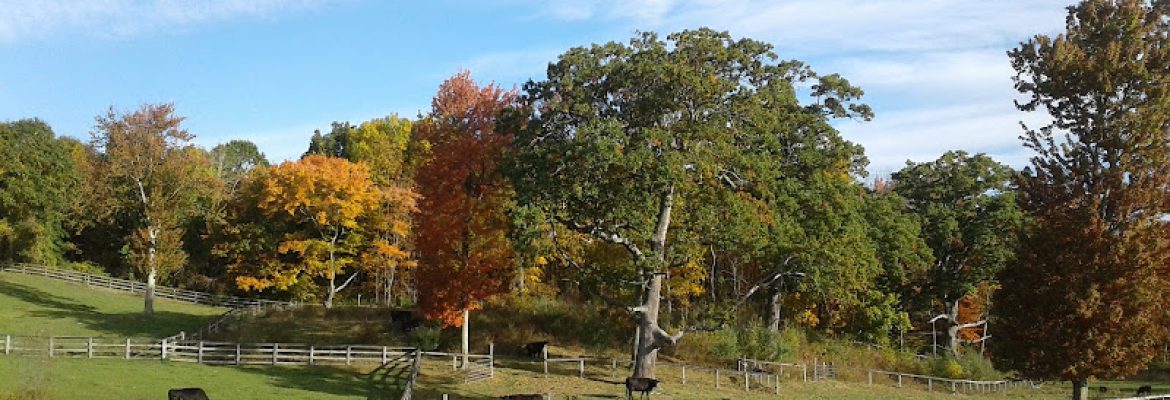Swendsen Farm Preserve