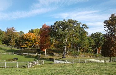 Swendsen Farm Preserve