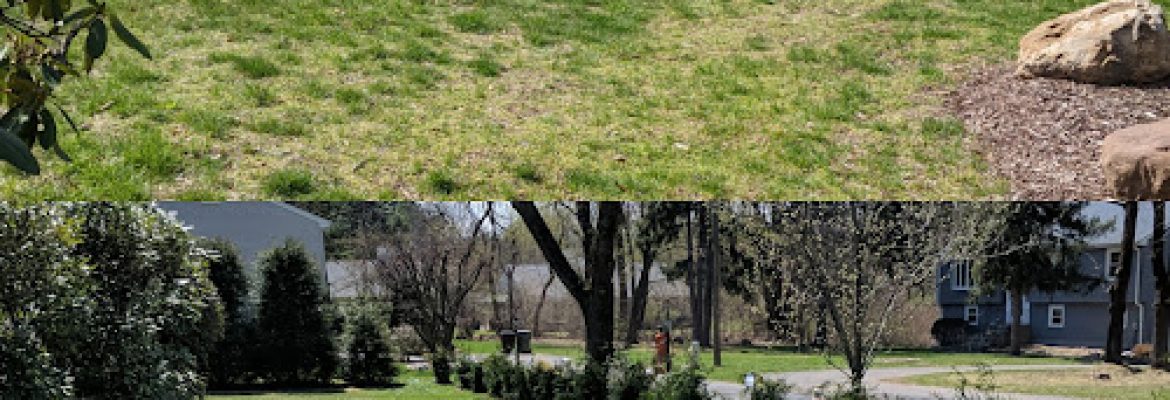 Halls Landscaping
