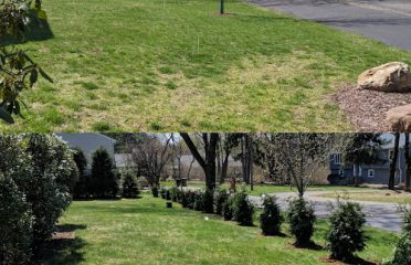 Halls Landscaping