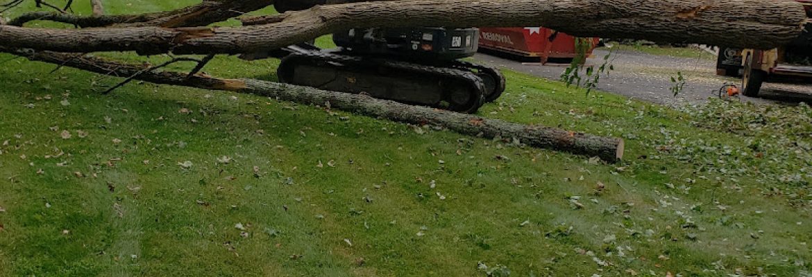 Solutions Tree Services LLC
