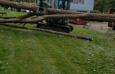 Solutions Tree Services LLC