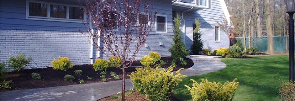 Broadleaf Landscape Design